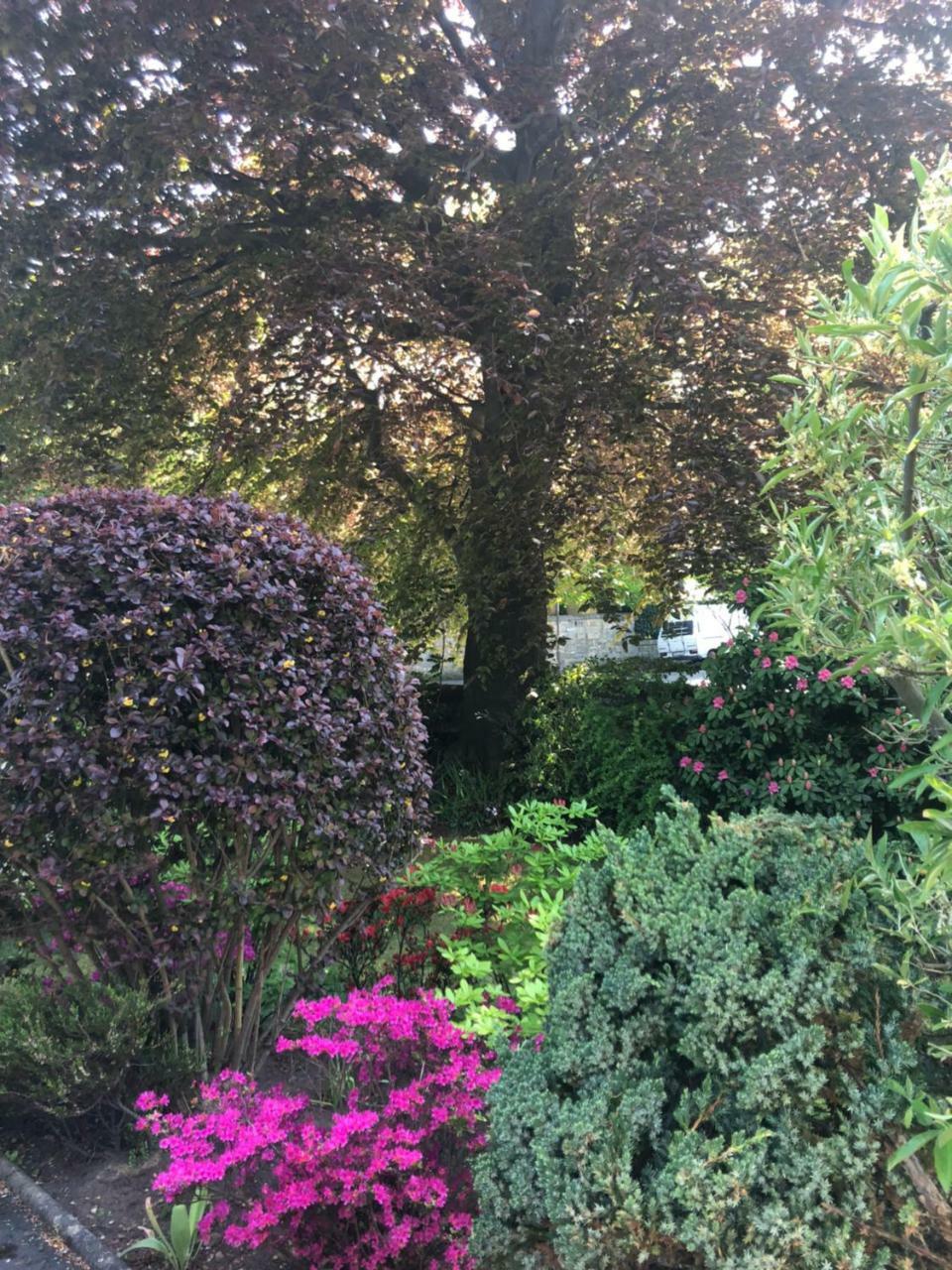 Bed and Breakfast Claremont House Эдинбург Экстерьер фото